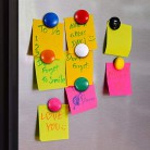 Patelai 48 Pieces Mini Fridge Magnets Round Magnetic Button Whiteboard Office (48pcs per 1 pack)